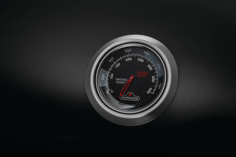 Napoleon Legend 425 SIB (LD425DSIBPKSS)- фото4