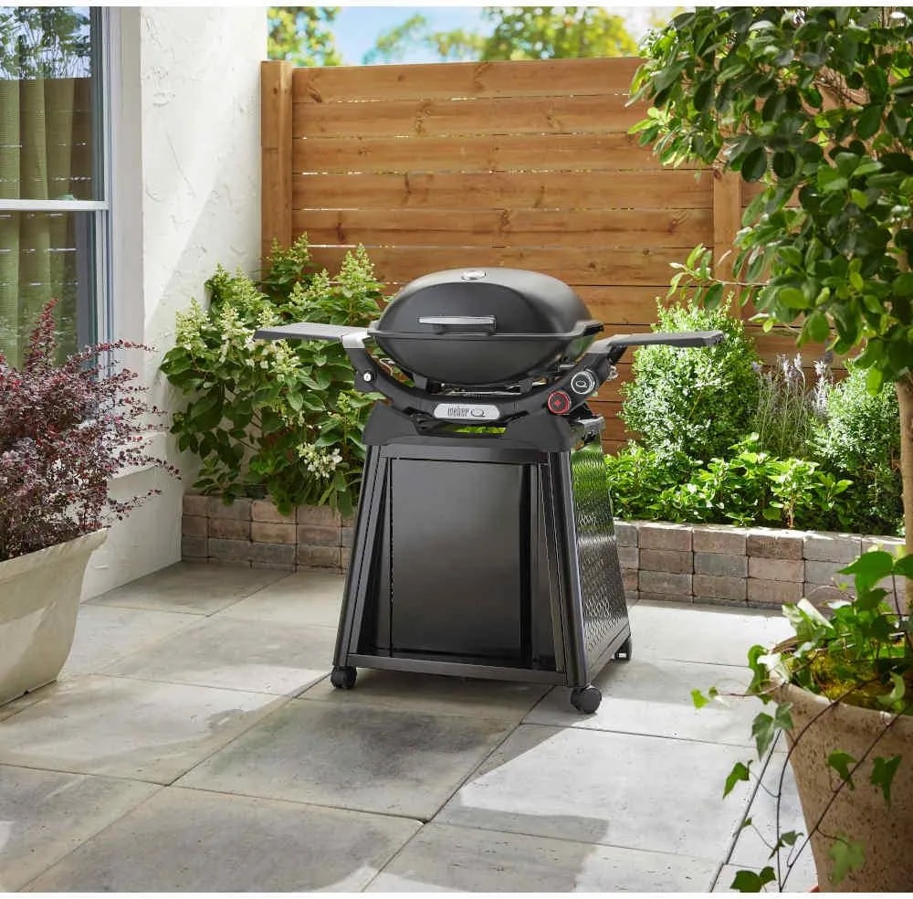 Weber Q2800N+- фото2
