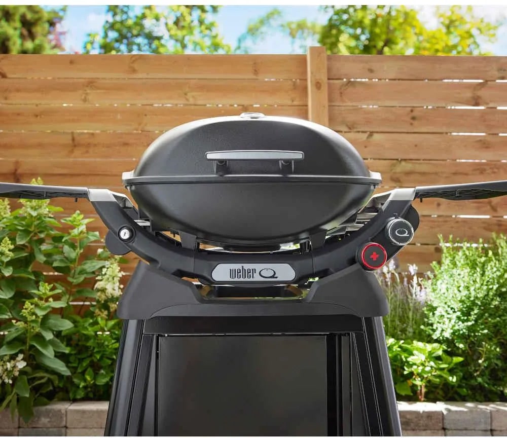 Weber Q2800N+- фото4